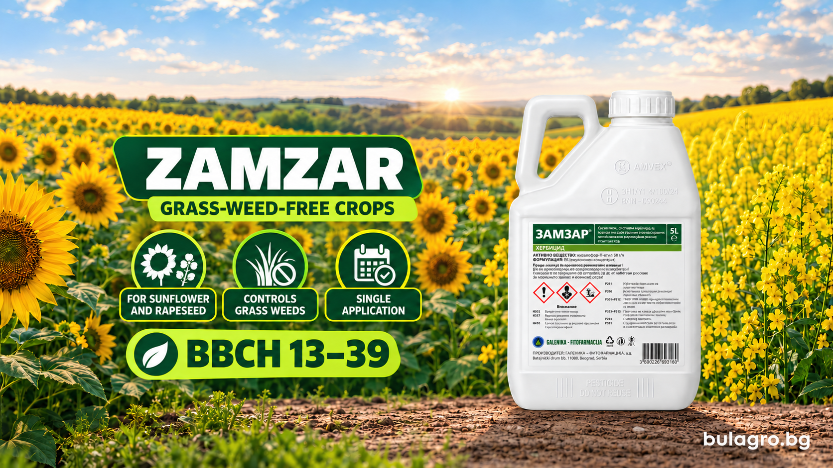 zamzar-widescreen-eng.png