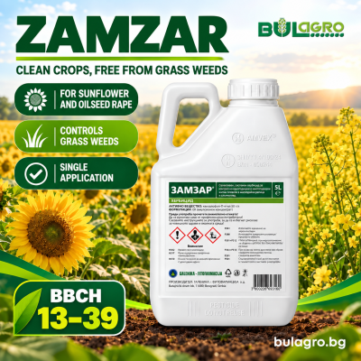  Zamzar – herbicide for grass weeds in broad-leaved crops