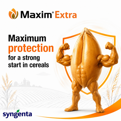 Maxim Extra - fungicide for seed treatment