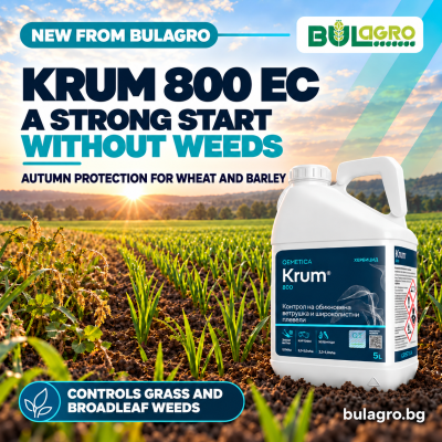 Krum 800 EC – for autumn protection of winter wheat and barley