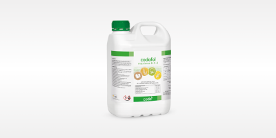 New foliar fertilizer in the portfolio of Bulagro - CODAFOL MAXIMUS 8.11.3