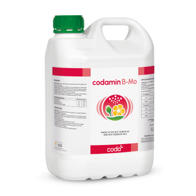 Codamin B-Mo