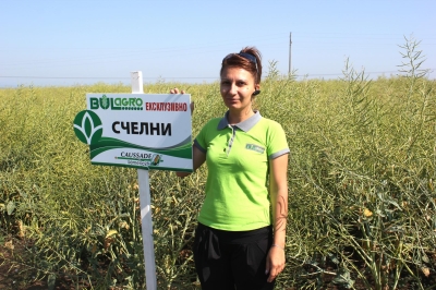 FIELD DEMONSTRATION OF RAPE HYBRIDS FROM CAUSSADE SEMENCES