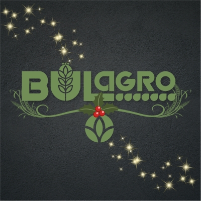 Happy winter holidays from the team of Bulagro!